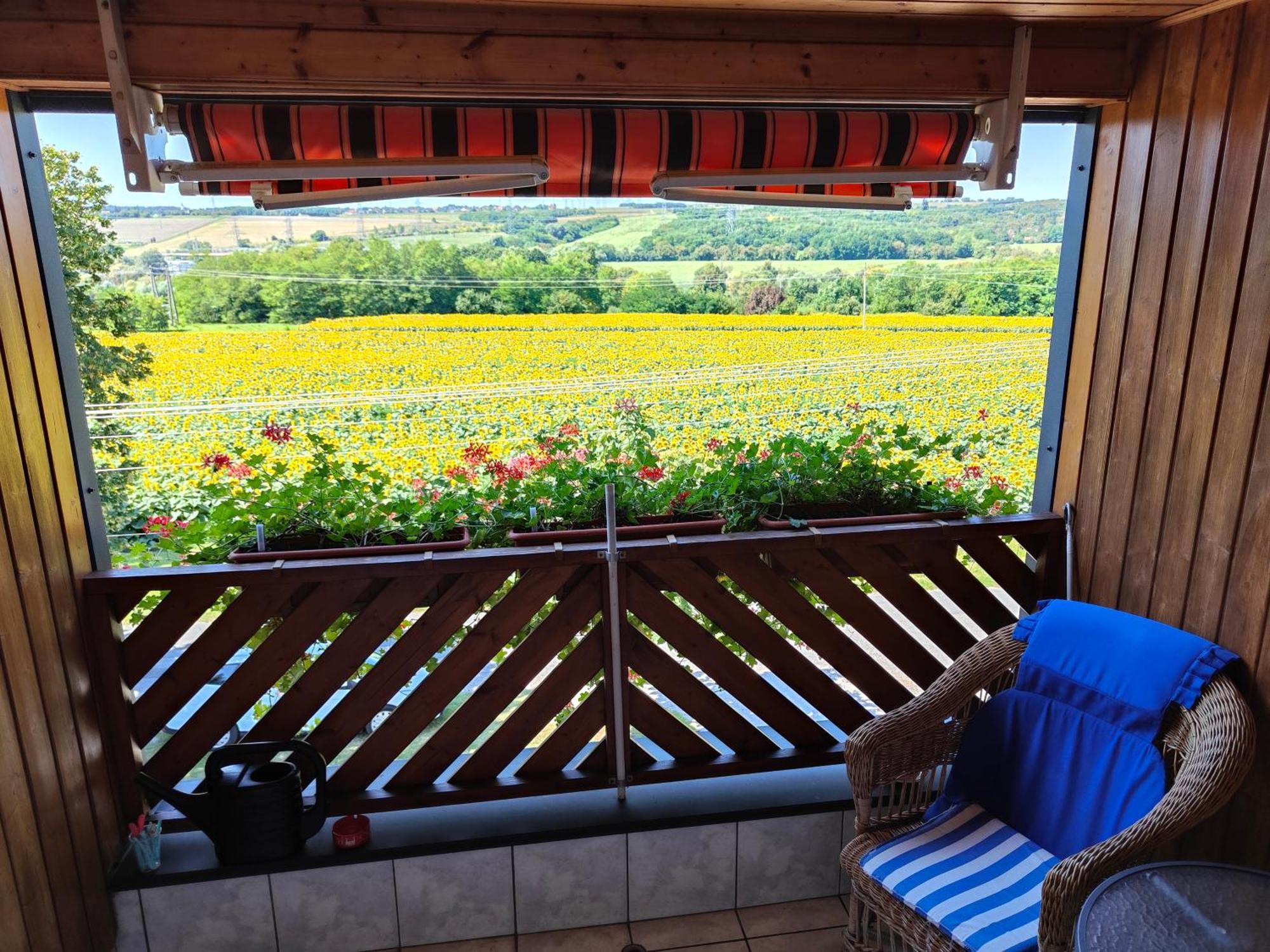 Viola House Hotell Hévíz Eksteriør bilde